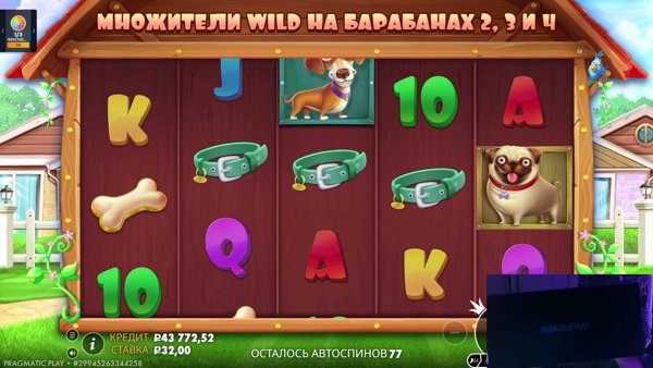 кондиционер | !tg
