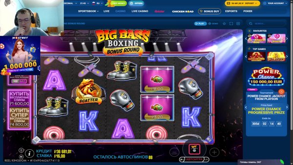 мостейшен экстейшен винумер