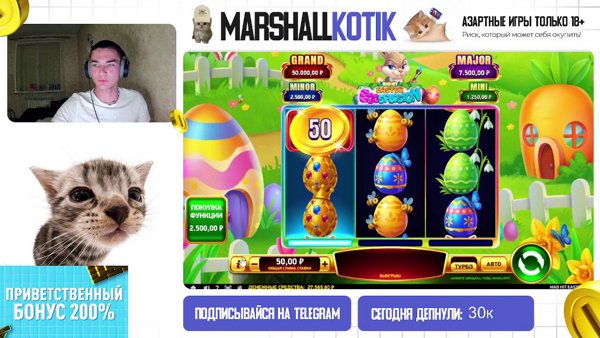 Маршаклкотик в поисках заносов !tg