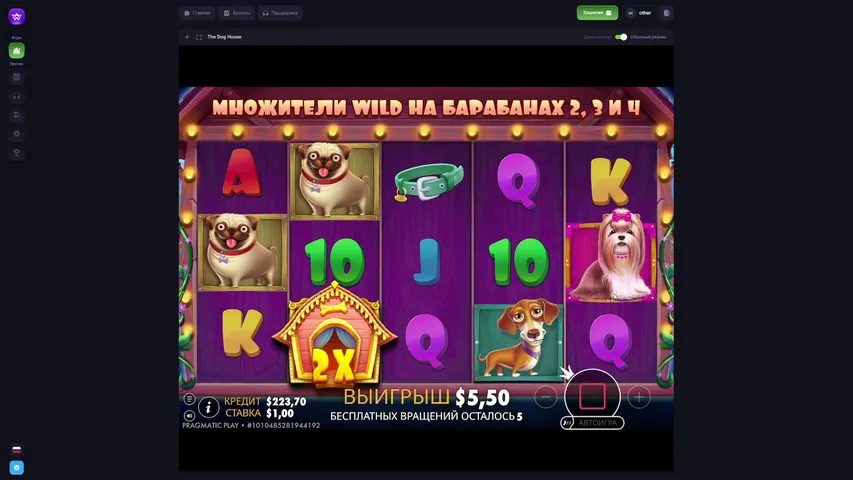 лудоман сори.