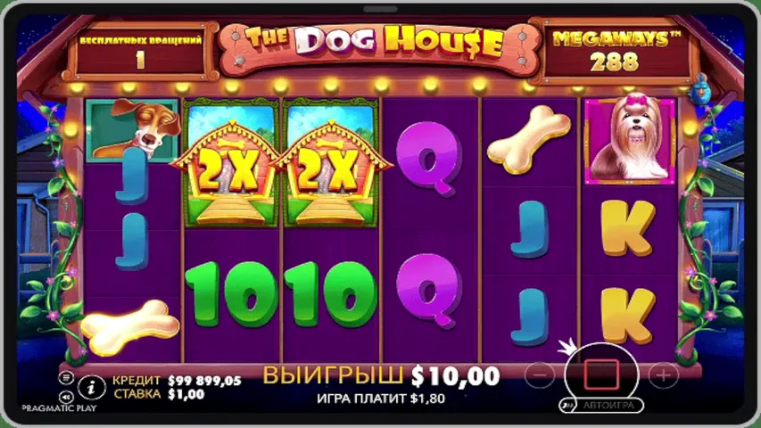 Vavada bonus 500$ I !tg