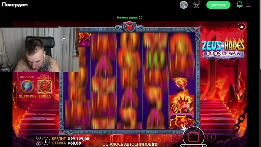 возвращение лудо чемпиона