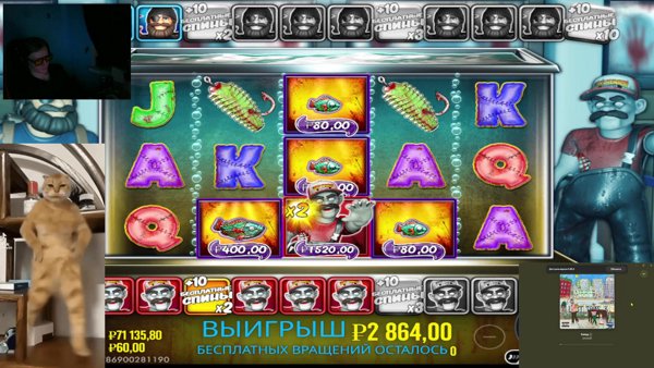 СЕГОДНЯ ПОКАЖУ СЛОНИКА