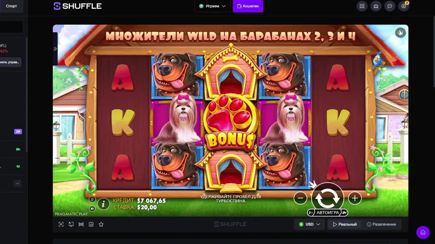 Лудоприключения  shuffle 7k$ (чил стрим)