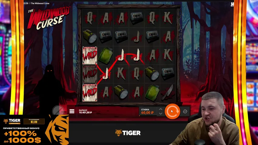 ЗАНОСИМ В НОВОМ КАЗИНО TIGER