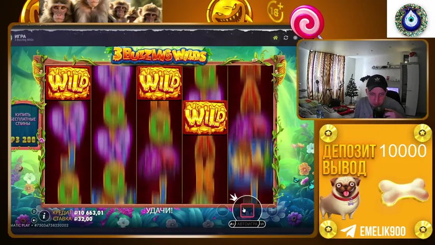 МЫ ДЕЛАЕМ ДЕНЬГИ 🛑 ЗАНОСЫ НЕДЕЛИ 🛑 СТРИМ ОНЛАЙН