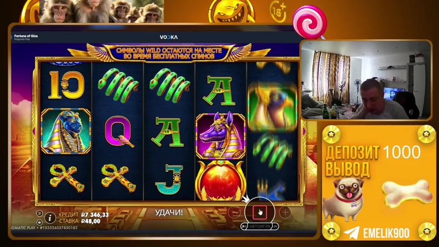 МЫ ДЕЛАЕМ ДЕНЬГИ 🛑 ЗАНОСЫ НЕДЕЛИ 🛑 СТРИМ ОНЛАЙН