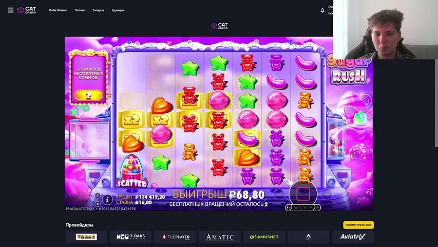 52 УДАРА СЕРДЦА В МИНУТУ 💰 CAT 100.000