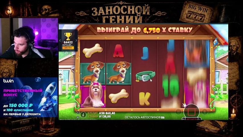 ЗАНОСИМ КАЖДЫЙ ДЕНЬ