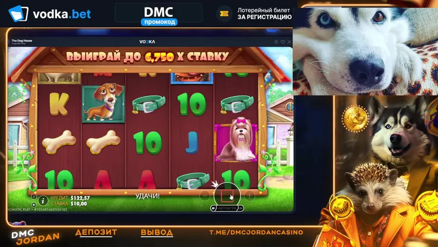 Заносим максвины