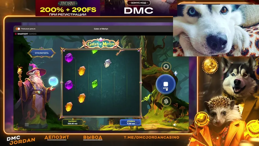 Заносим максвины