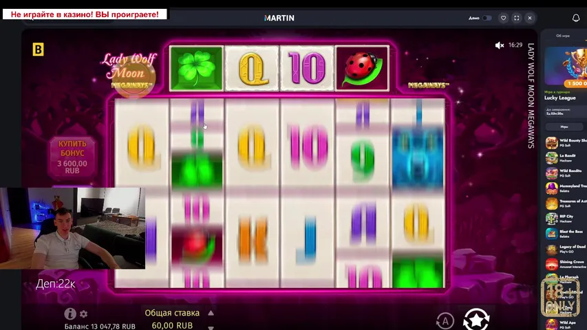 Жуж в поисках заносов