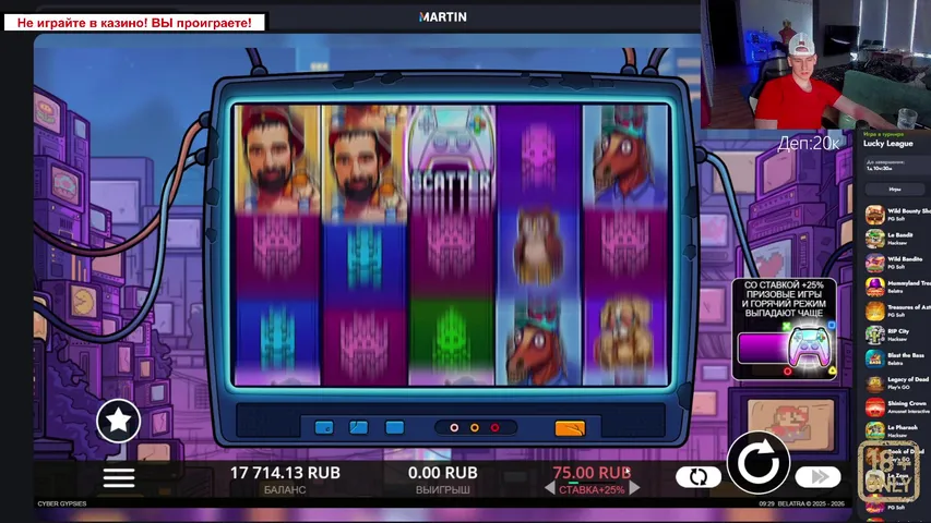 Жуж в поисках заносов