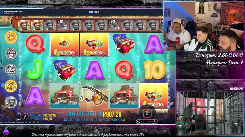 МУЛЬТИВСЕЛЕНСКИЙ МАРАФОН! День 9