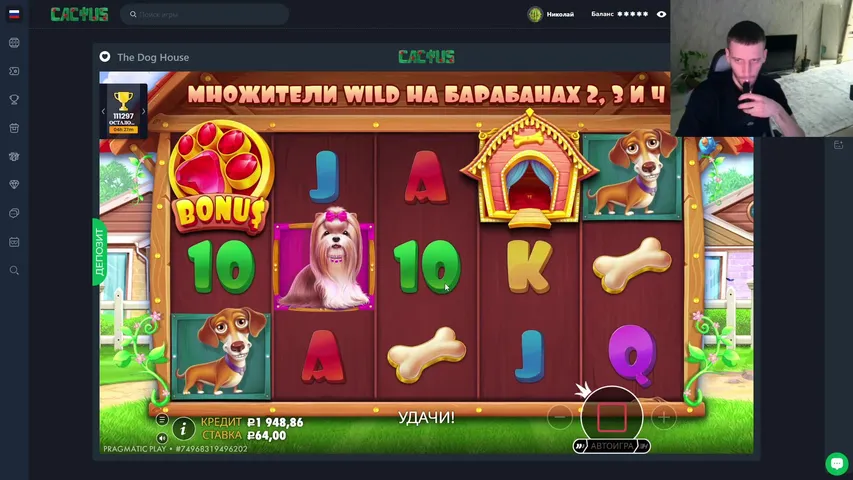 В поисках Максвина