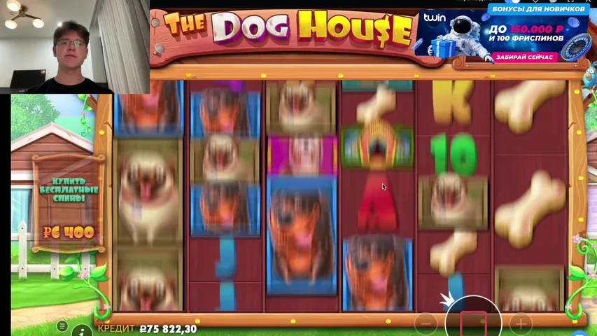 СТРИМ ПРЯМО СЕЙЧАС