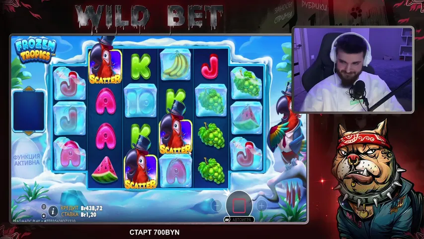 🔥 WILD LIVE | Охота за максвином💸 GRAND !tg !bonus