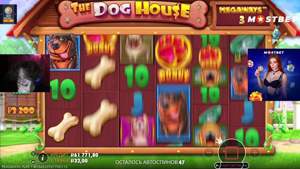 стрим из будки |  !tg