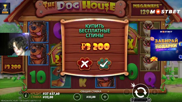 стрим из будки |  !tg