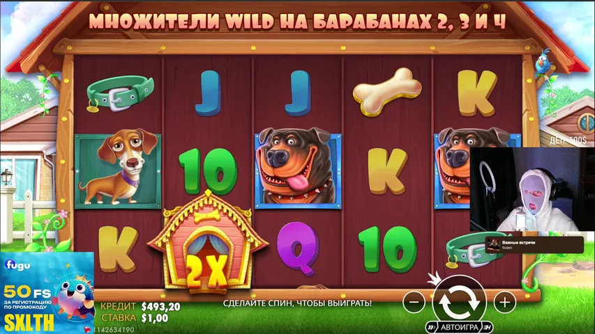 🥷 новый проект | кэшбэк ДО 200% за первый деп | !тг