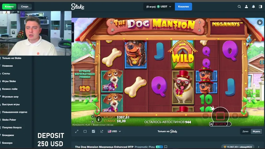 STAKE. В ПОГОНЕ ЗА 6 ЛАПАМИ!