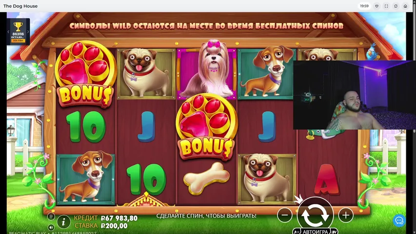 ПОКУПАЮ БОНУСКУ ЗА ПОДПИСКУ