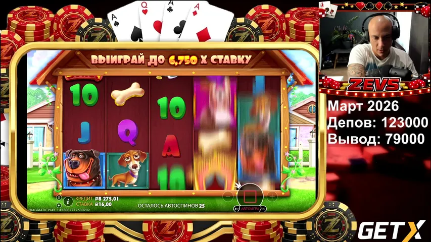 Гет х | Стрим казино онлайн |  ZEVS