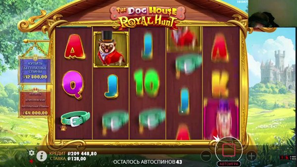 Почти дошел до уровня шейха, но чего же не хватает?ТГ\ДЕП?