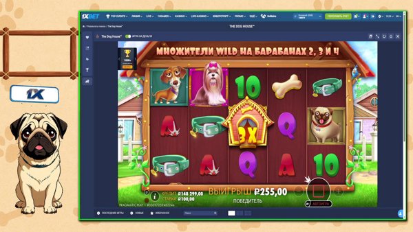 blog-thumb