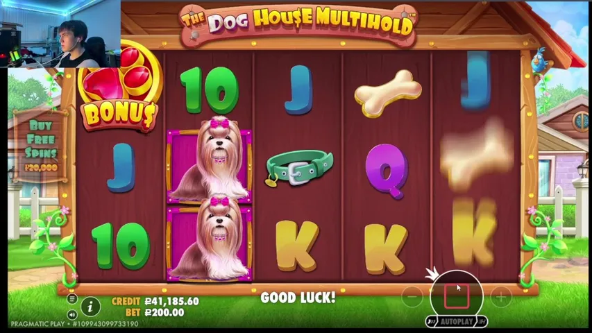 STAKE HIGHROLL 800$ !tg