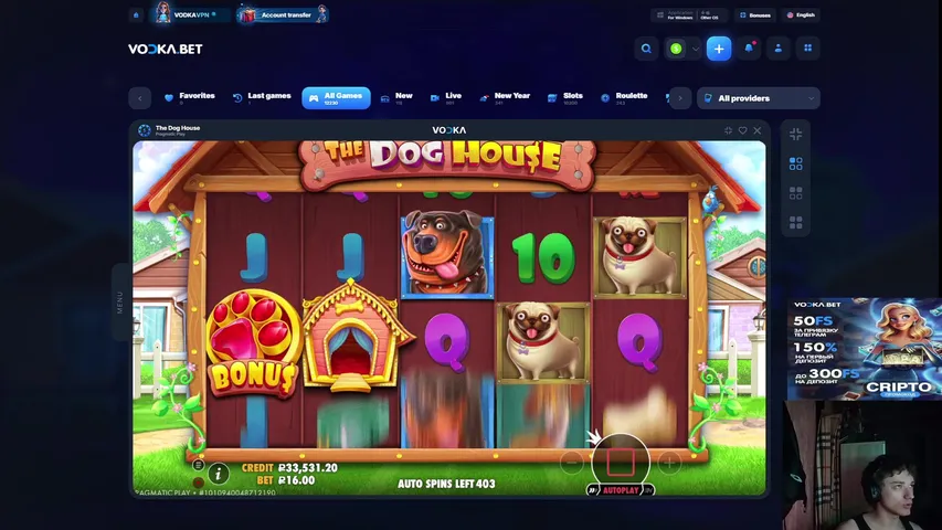 STAKE HIGHROLL 800$ !tg