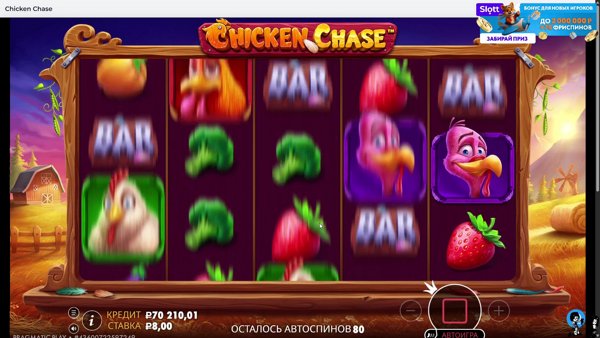 дневной Slott !slott !tg