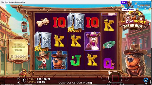 ночной Slott !slott !tg