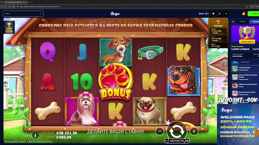 Да да нет нет да будет свет! Розыгрыши для рефералов!🔥