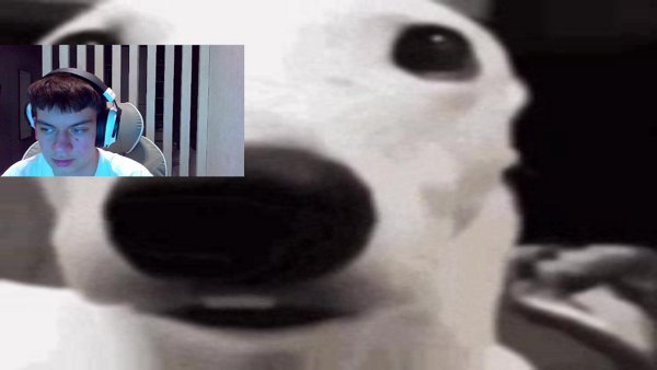 РУЛЕТКА ЗАКРУТИЛАСЬ, А ДО МАКСВИНА НИКАК НЕ ДОШЕЛ.