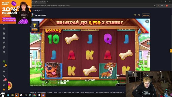 Вышел из тюрьмы, зарабатываю. !tg !дракон