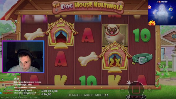 Казино-марафон до победного 🏆