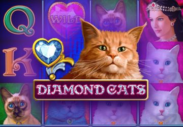 Diamond Cats