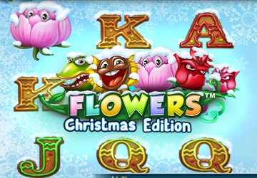 Flowers Christmas Edition