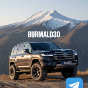 burmald3d