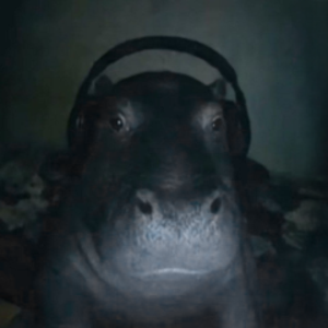 hippopotut